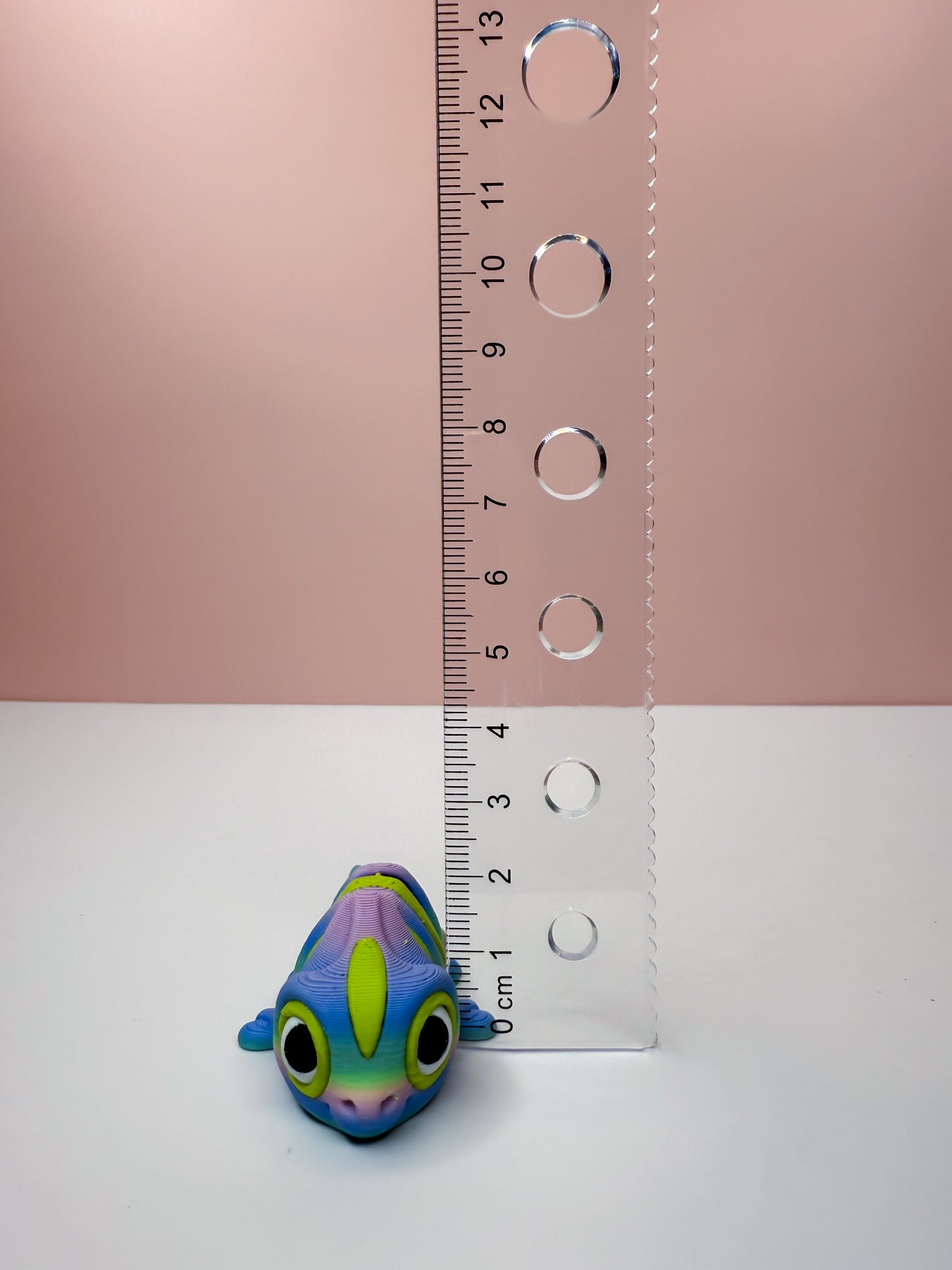 Camelion Magnet