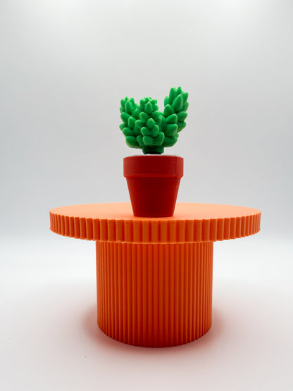 Succulent Spinner