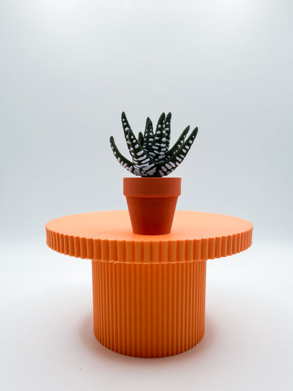 Succulent Spinner