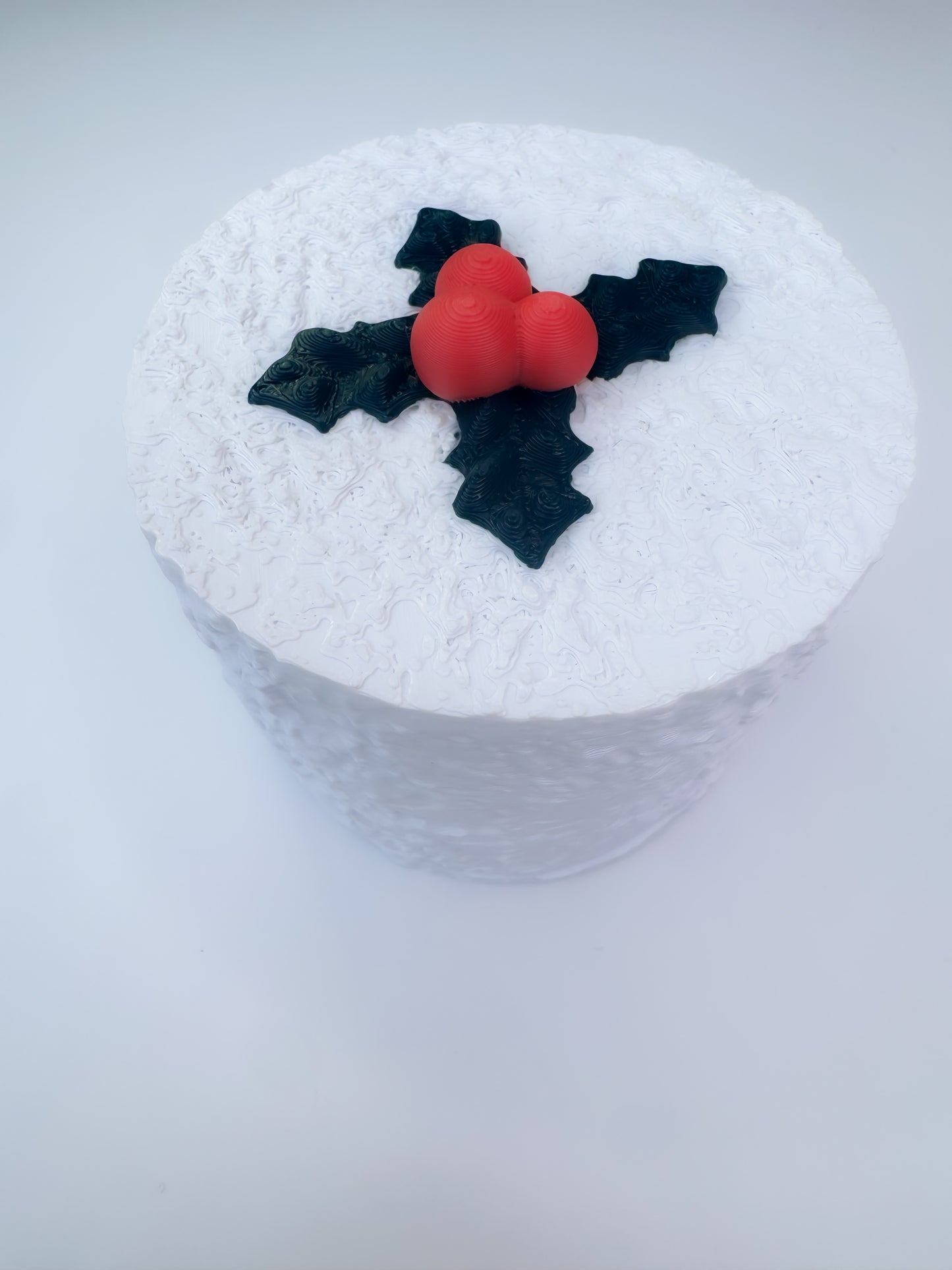Coconut Cake Container