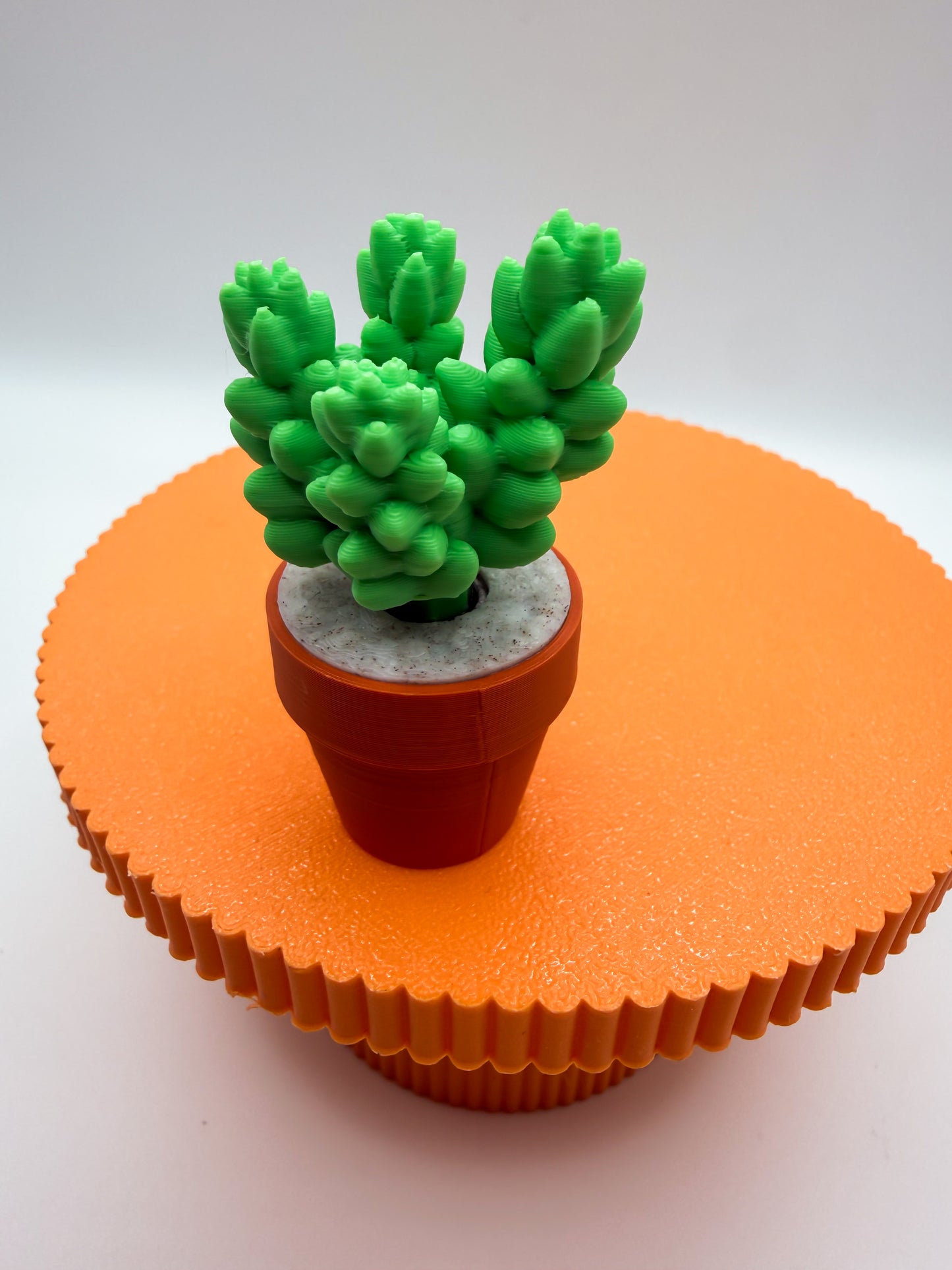 Succulent Spinner
