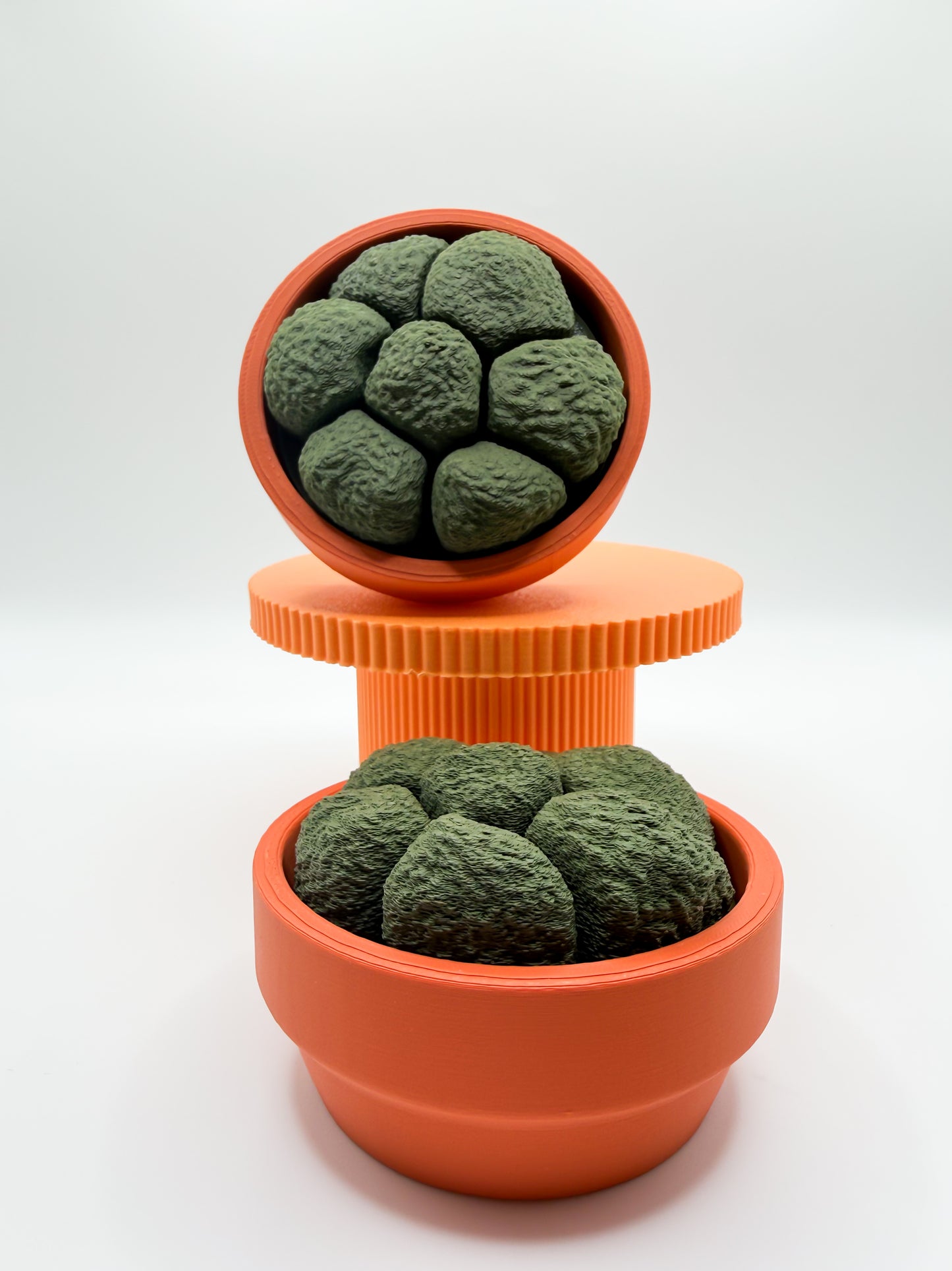 Moss Spinner Multi-Clicker