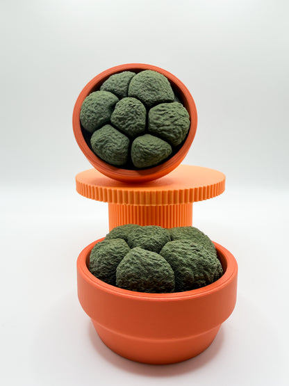 Moss Spinner Multi-Clicker