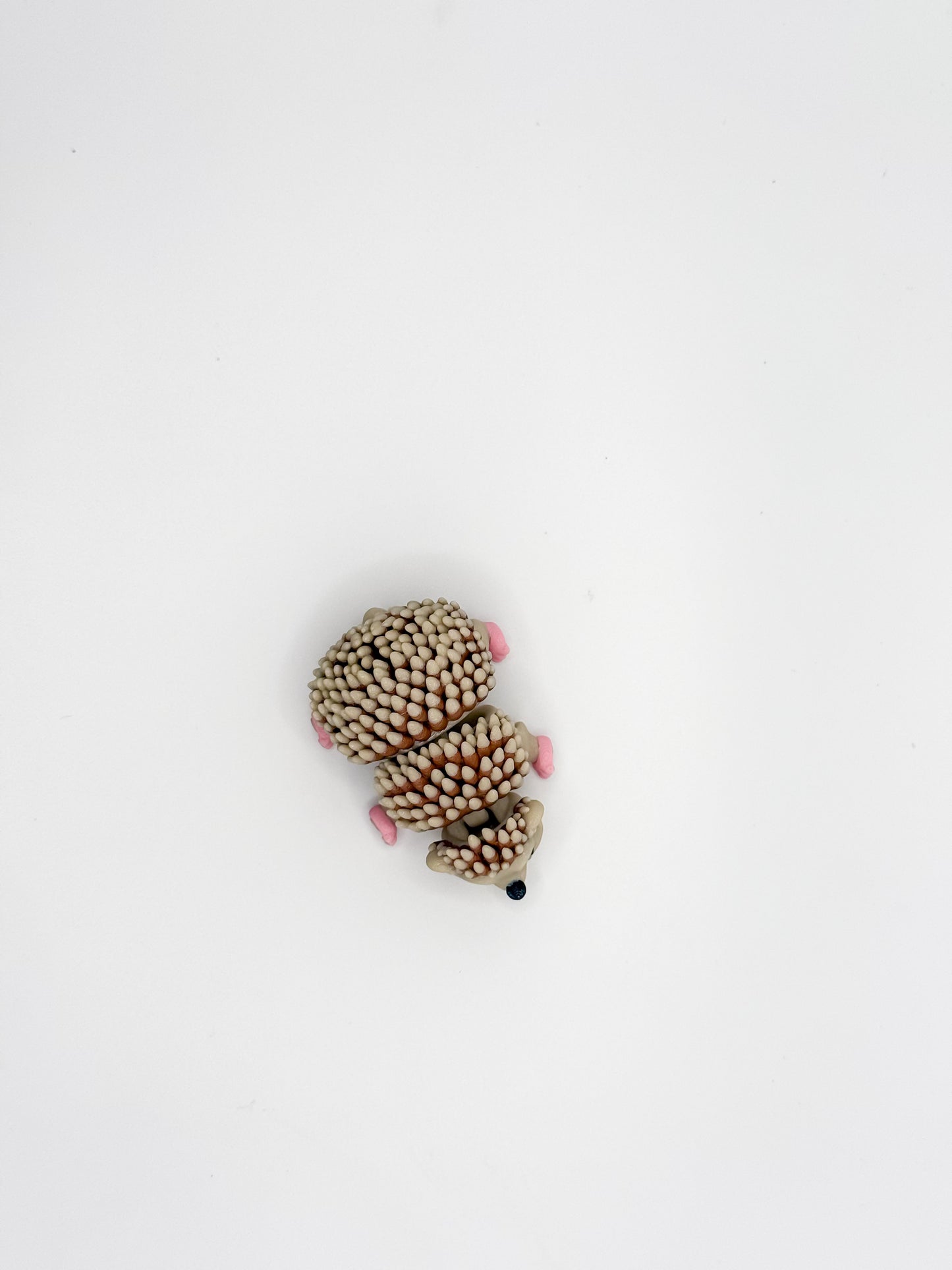 Hedgehog Magnet