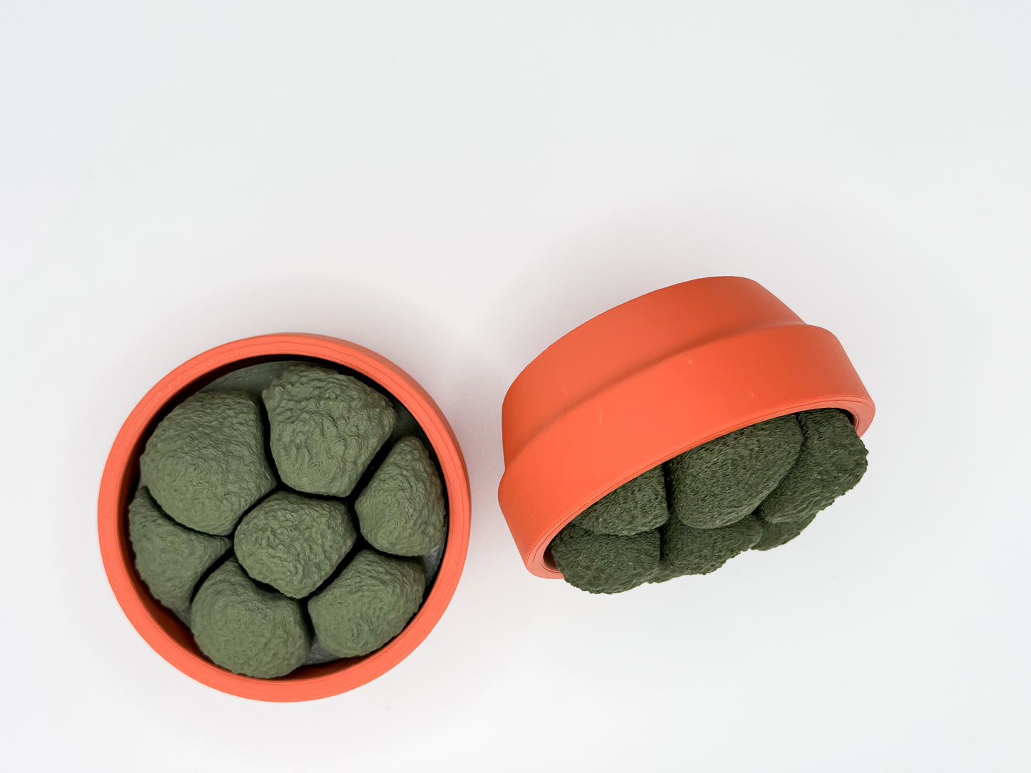 Moss Spinner Multi-Clicker