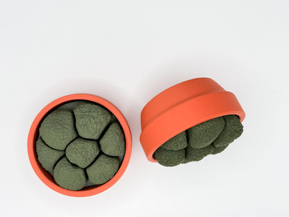 Moss Spinner Multi-Clicker