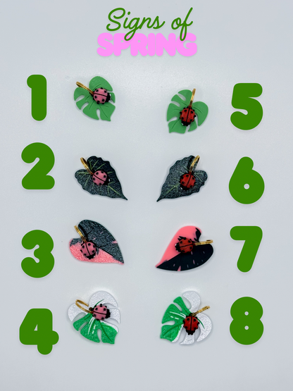 Kaleido Charm Club- Yearly Subscription