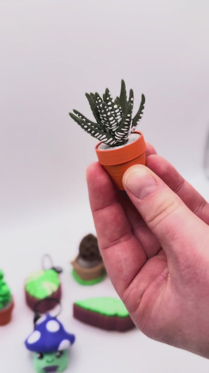 Succulent Spinner