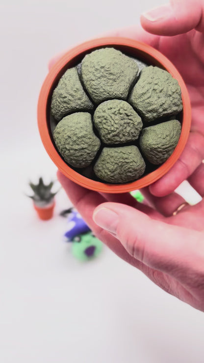 Moss Spinner Multi-Clicker